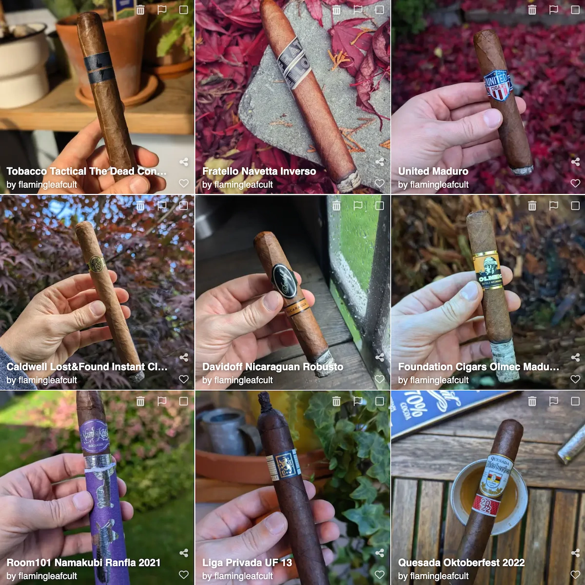 Grid of cigar photos on Tobacora showing a personal cigar photo collection.
