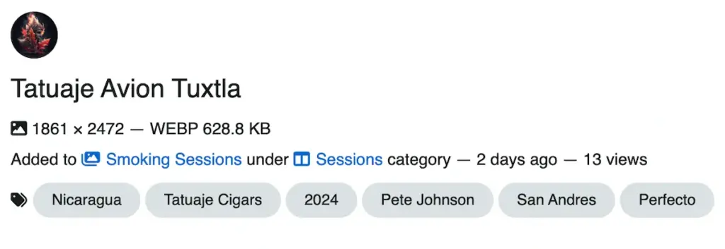 Tags field in Tobacora with multiple comma-separated tags entered for a photo.