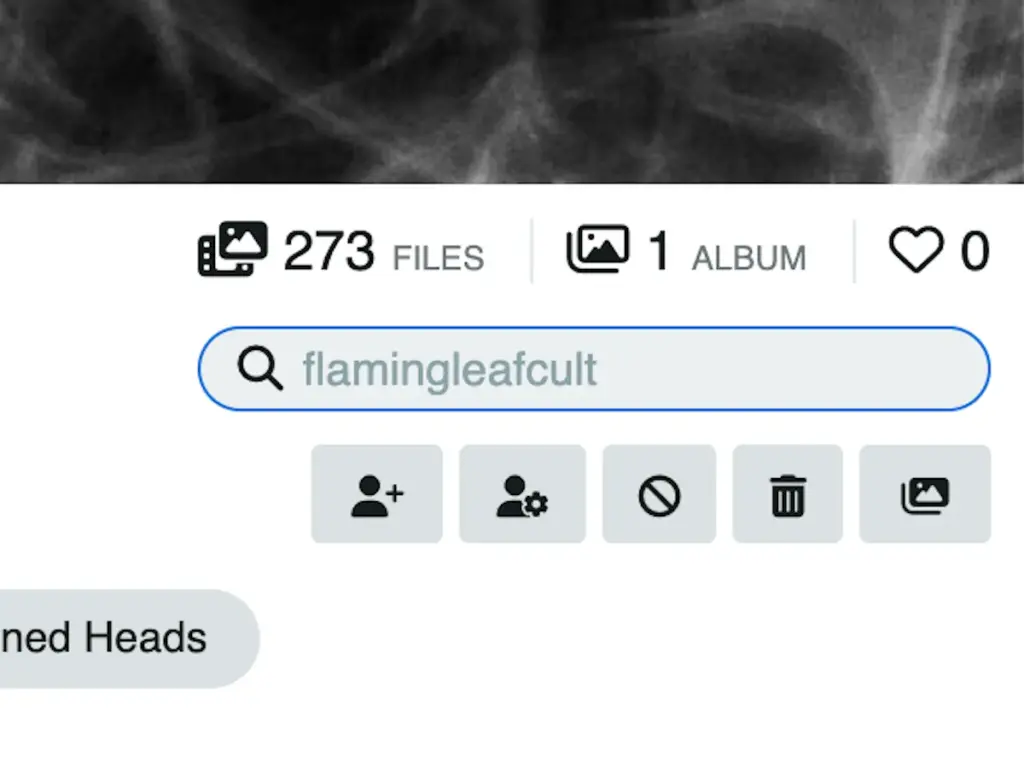 Search bar or search results within a Tobacora user profile.