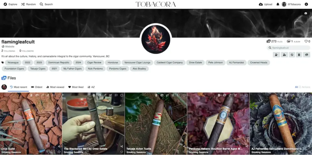 Tobacora user profile page showing gallery content and public profile details.